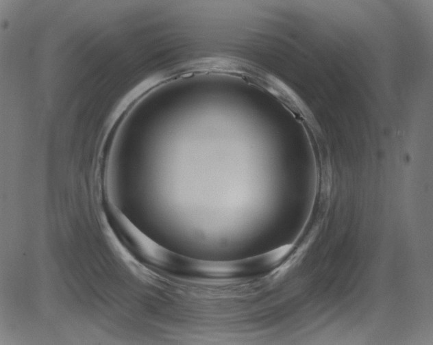 X0000081341434200701111413