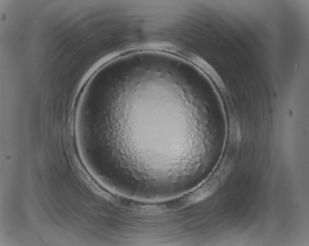 X0000081341436200701111413