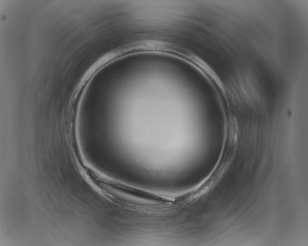 X0000081341437200701111413
