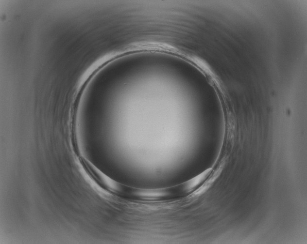 X0000081341438200701111413