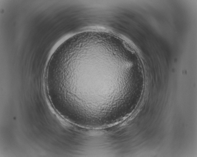 X0000081341440200701111413