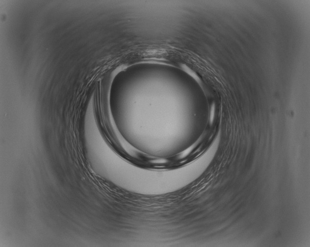 X0000081341441200701111412
