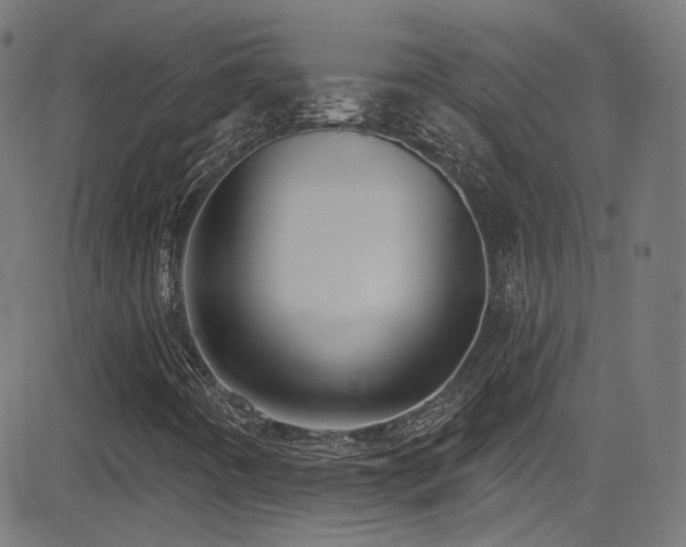 X0000081341442200701111412