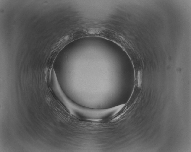 X0000081341443200701111412