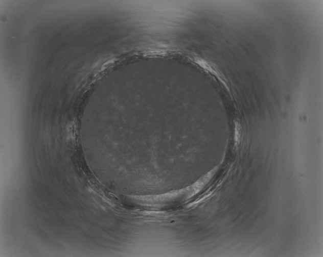 X0000081341445200701111412