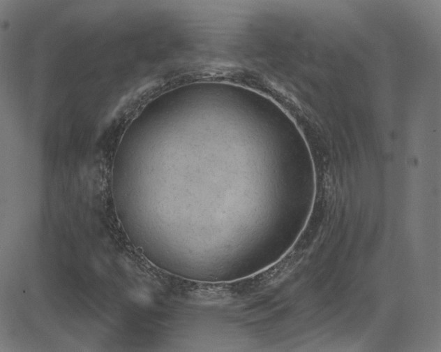 X0000081341447200701111412