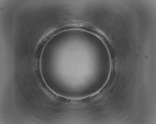 X0000081341448200701111412