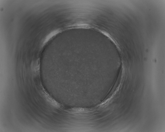X0000081341450200701111412