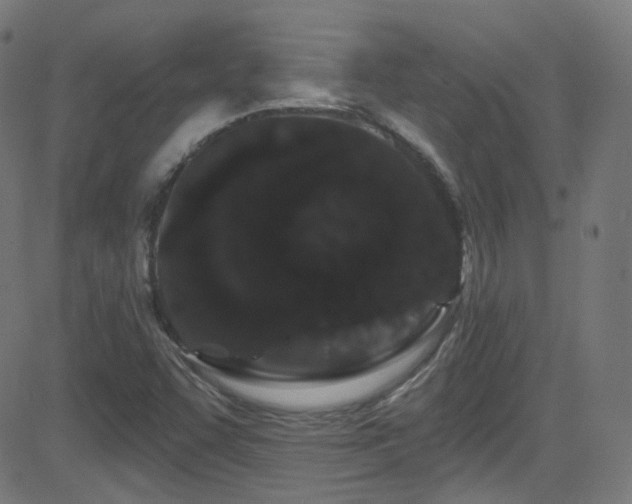 X0000081341455200701111412