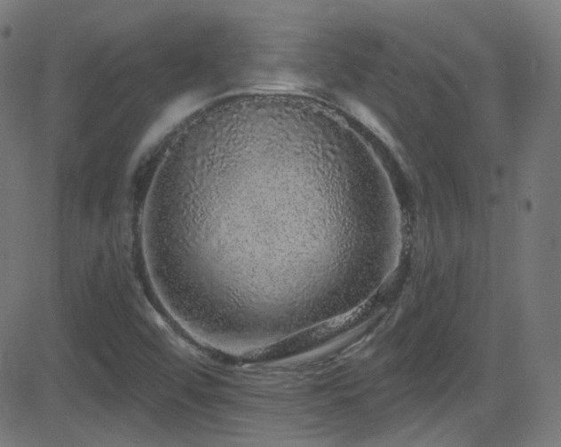 X0000081341456200701111412