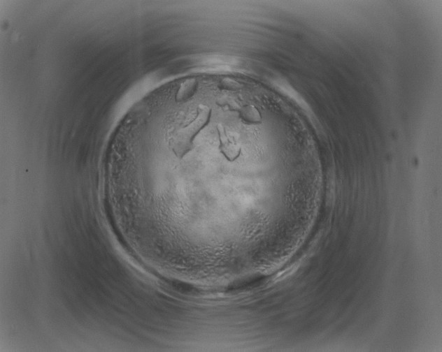X0000081341467200701111412