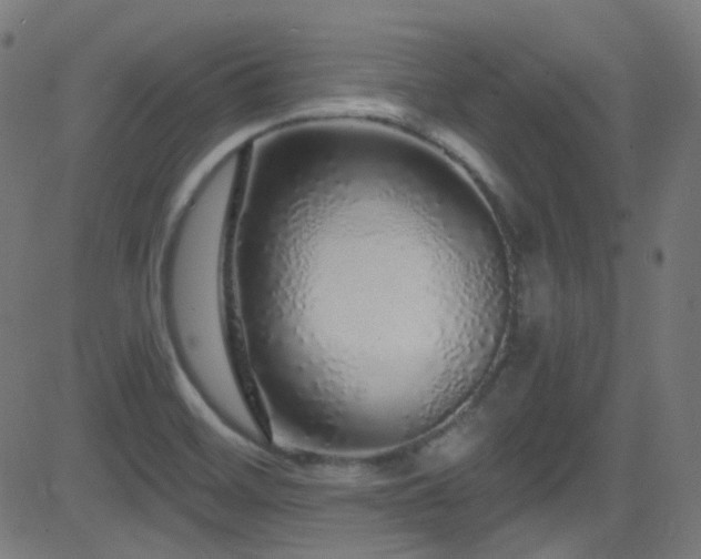 X0000081341468200701111412