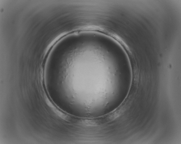 X0000081341476200701111412