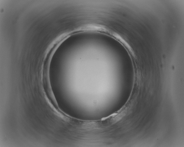 X0000081341477200701111411