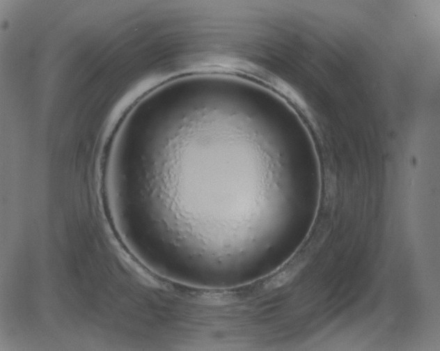 X0000081341480200701111411