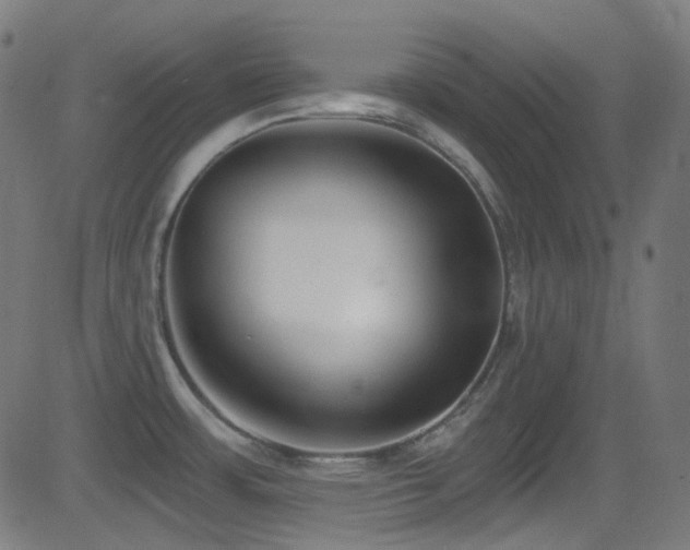 X0000081341483200701111411