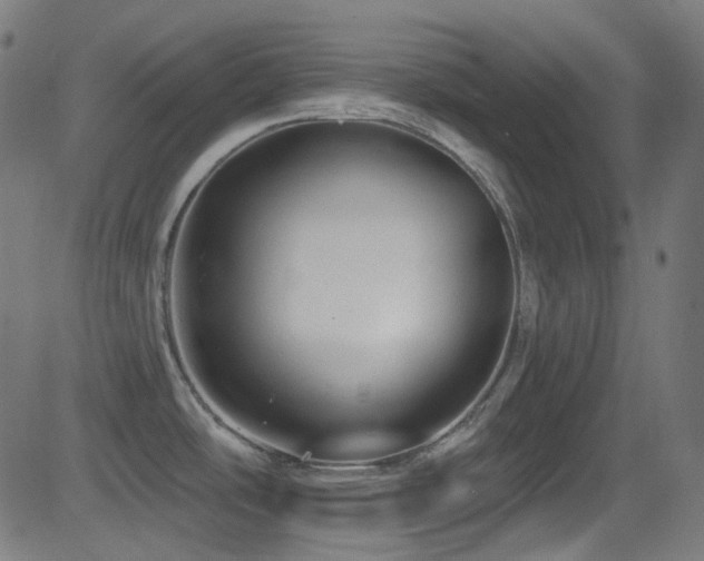 X0000081341486200701111411