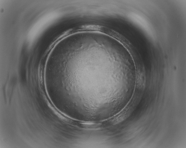 X0000081341487200701111411