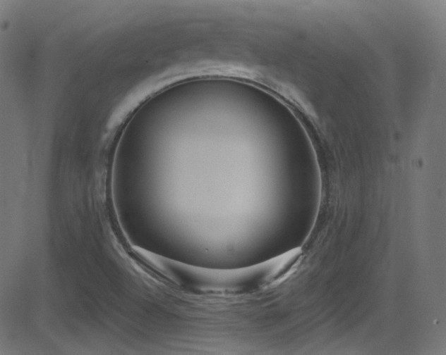 X0000081341504200701111411