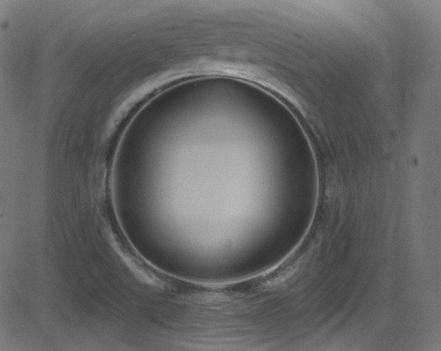 X0000081341507200701111411
