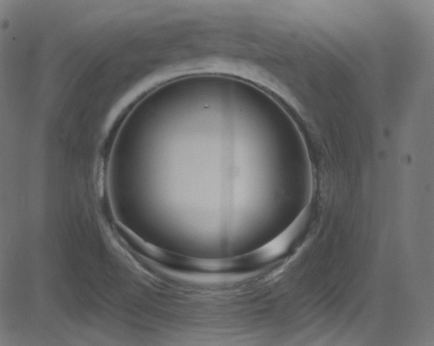 X0000081341510200701111411