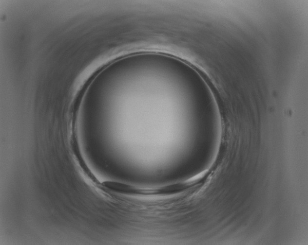 X0000081341511200701111411