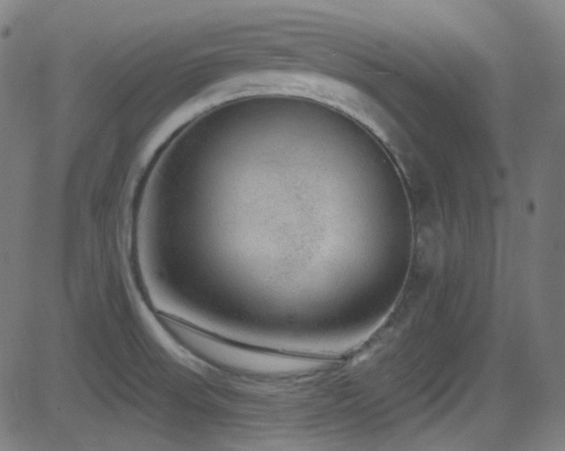 X0000081341523200701111411