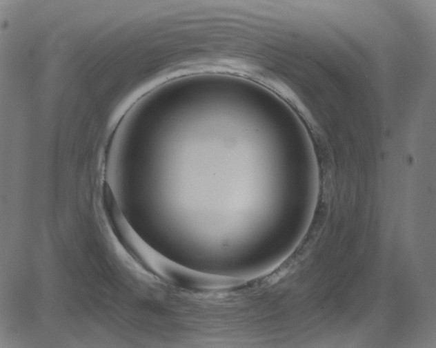 X0000081341524200701111411