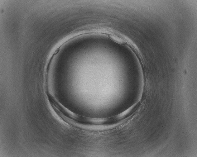 X0000081341528200701111411