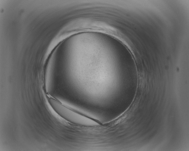 X0000081341531200701111411