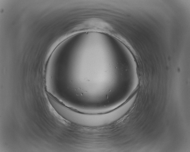 X0000081341532200701111411