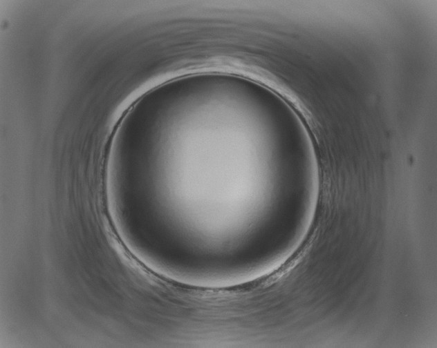 X0000081341534200701111411