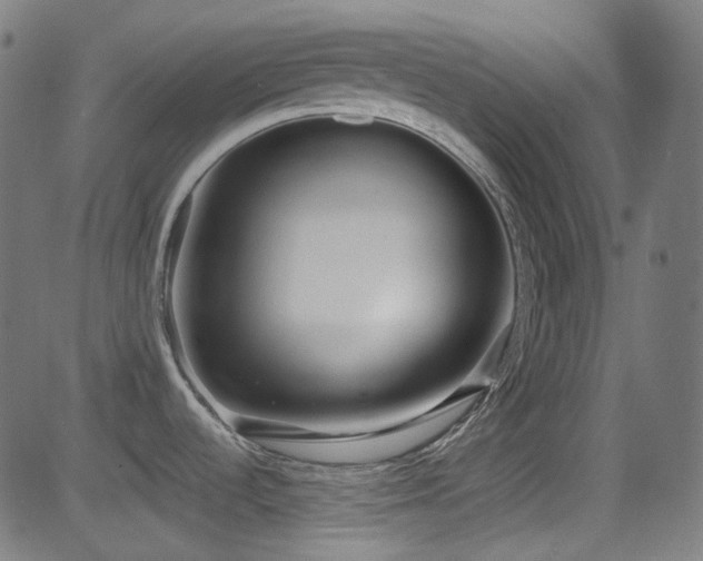 X0000081341536200701111411