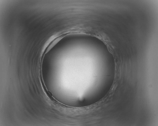 X0000081340003200701182033