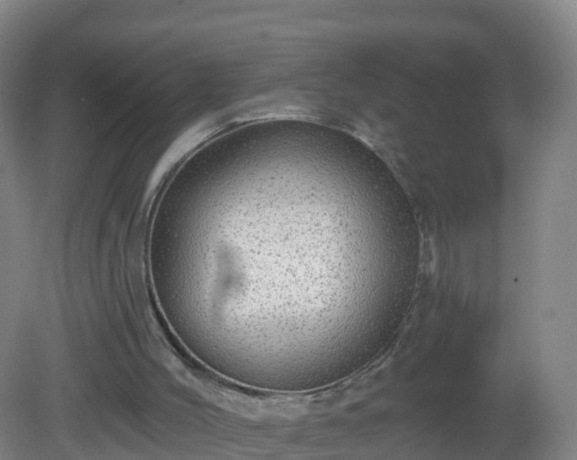 X0000081340004200701182033