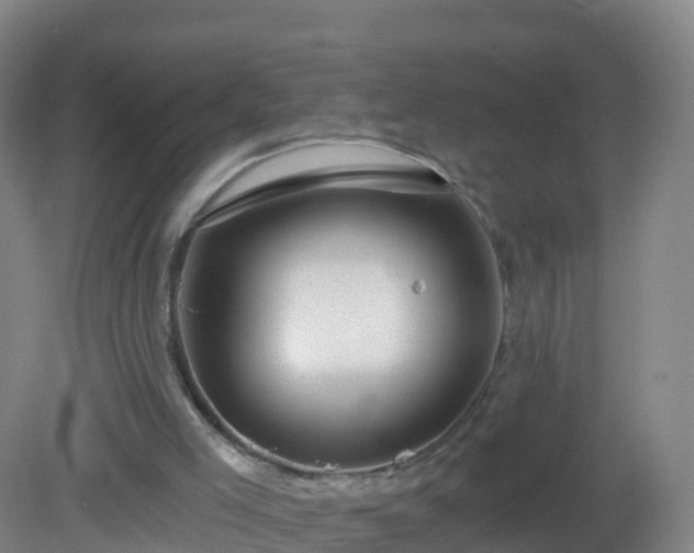 X0000081340005200701182033