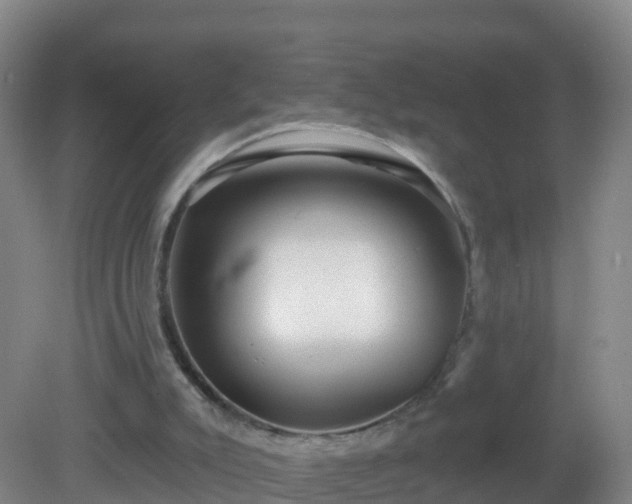 X0000081340007200701182032