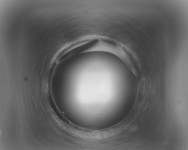 X0000081340015200701182032