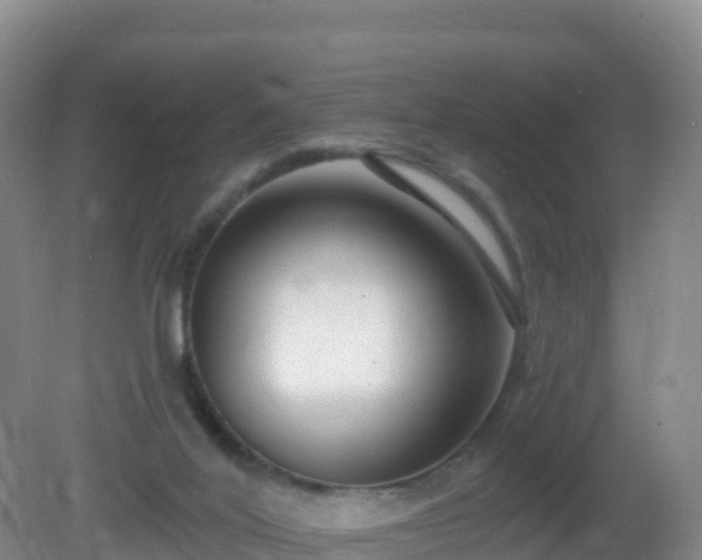 X0000081340020200701182032