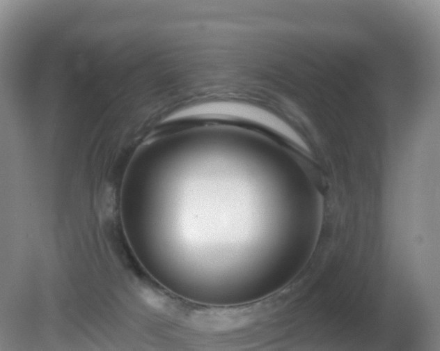X0000081340025200701182032