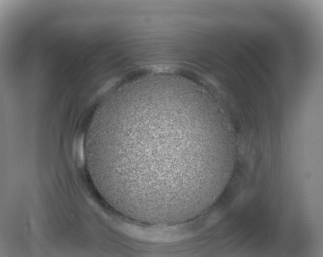 X0000081340028200701182032