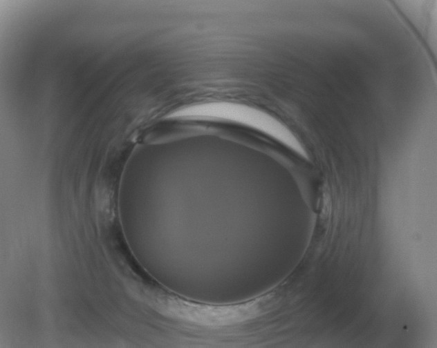 X0000081340031200701182032