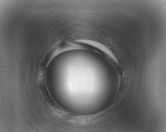 X0000081340033200701182032