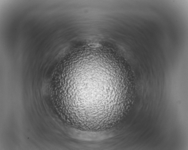 X0000081340034200701182032