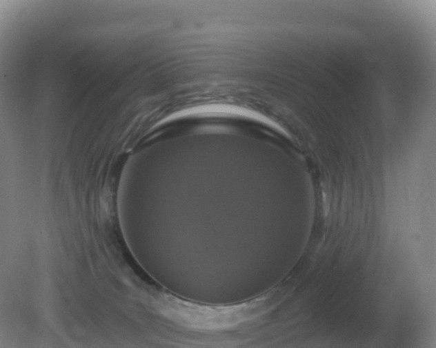 X0000081340035200701182032