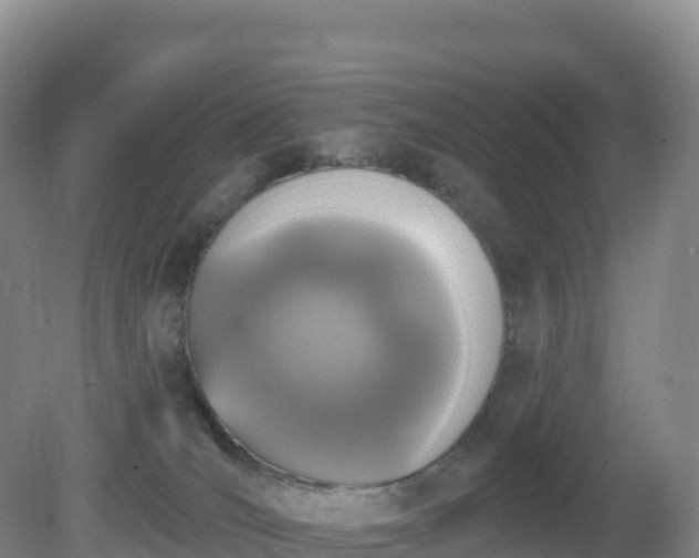 X0000081340036200701182032