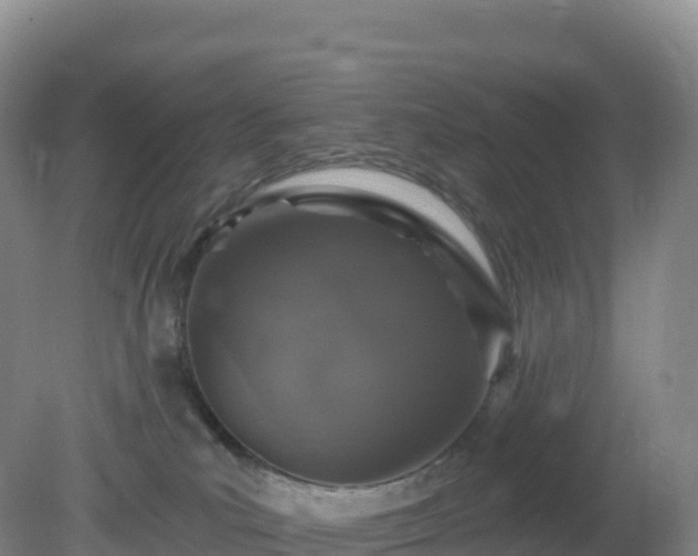 X0000081340039200701182032