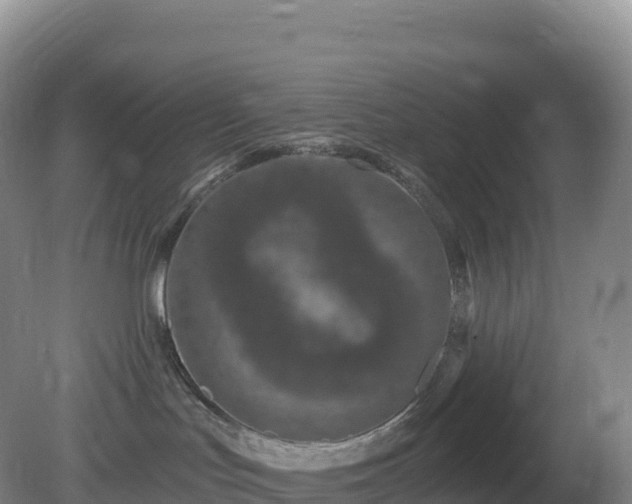 X0000081340047200701182032
