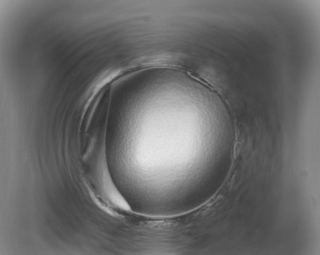 X0000081340050200701182031