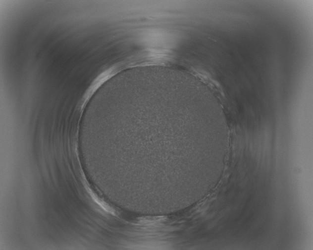 X0000081340051200701182031